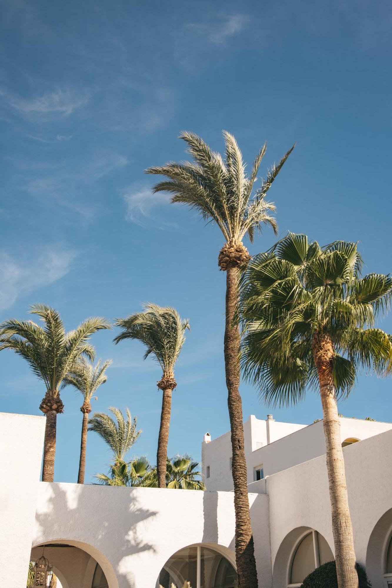 Hotel Me Marbella By Melia Esterno foto Palm trees in Las Vegas